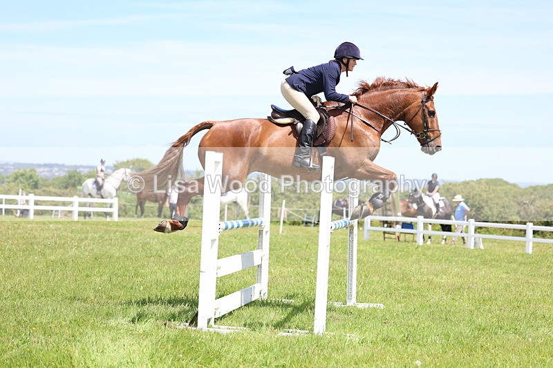 3E7A1253 - Class 12: Senior Foxhunter/1.20 open