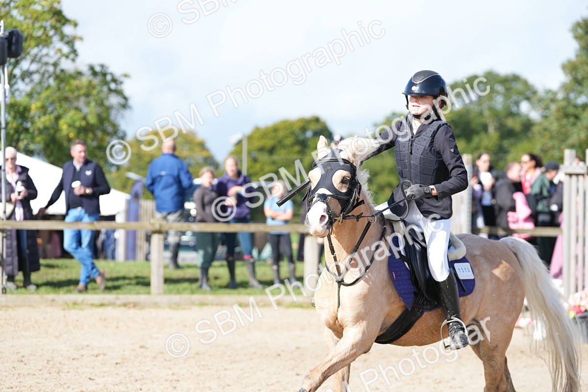 SBM_38500 - J6 - Junior Pony 55cm Championship