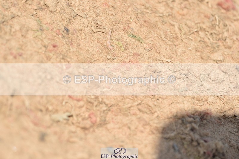 230720A-111650-02354 - Cls 29, 6 Yr Olds 1.20m