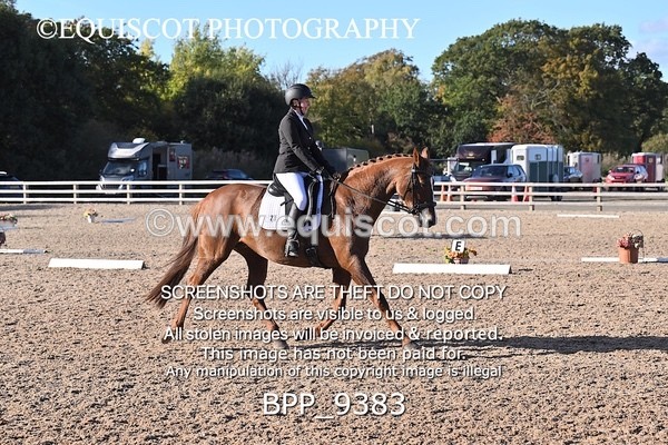 BPP_9383 - LONG ARENA