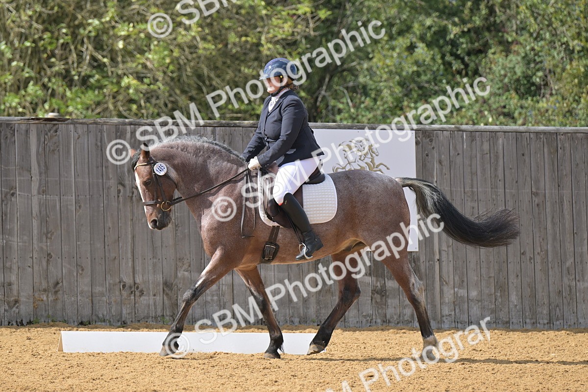 SBM_10911 - D3 - Small Tour Championship Intro 3