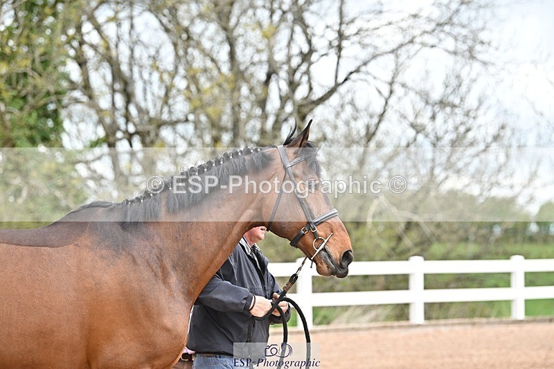 250423-120742-00208 - 12 to 1pm