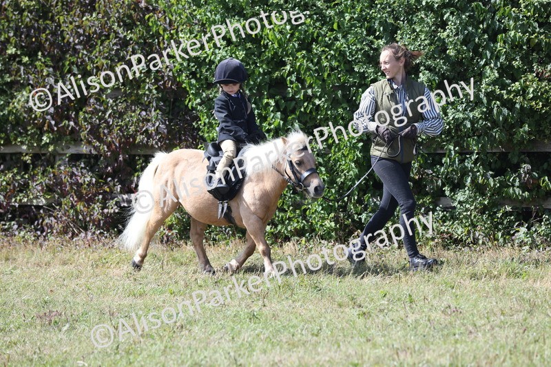 20250831-2657 - Class 17 - Lead Rein Pony