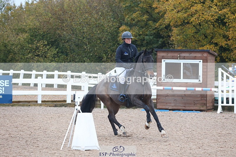 231112A-095224-03093 - Cls 17 Blue Chip Novice Winter Qualifier
