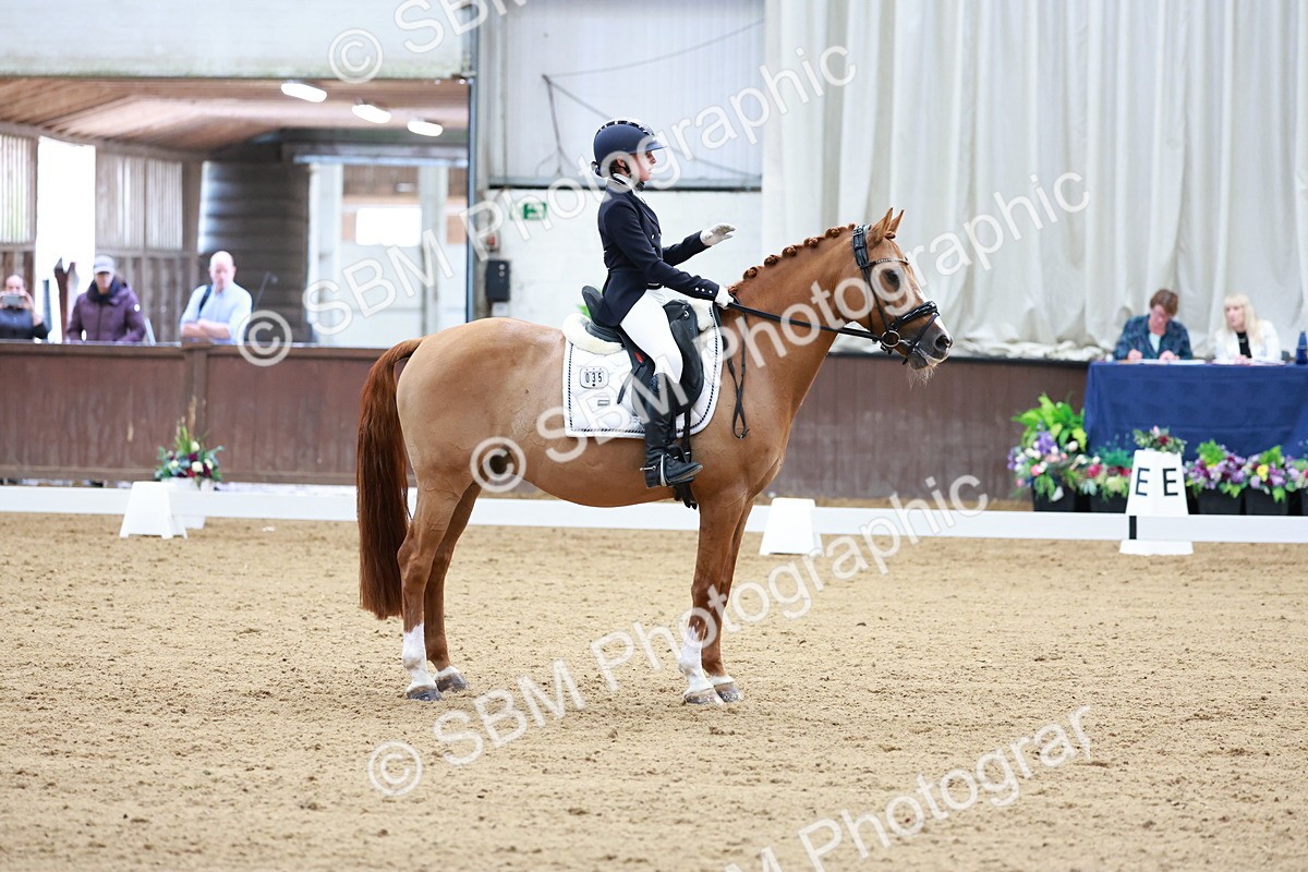 SBM_017092 - Class15 - FEI Pony