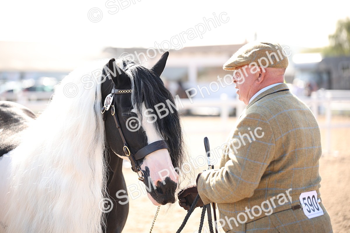 SBM_01544 - Class 15 IH Coloured