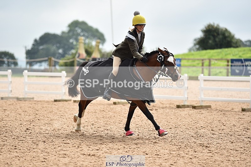 230902A-120824-00935 - Cls 2B Pony Small 80cm