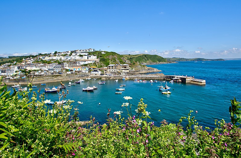 Mevagissey from the coast path - Cornwall Misc