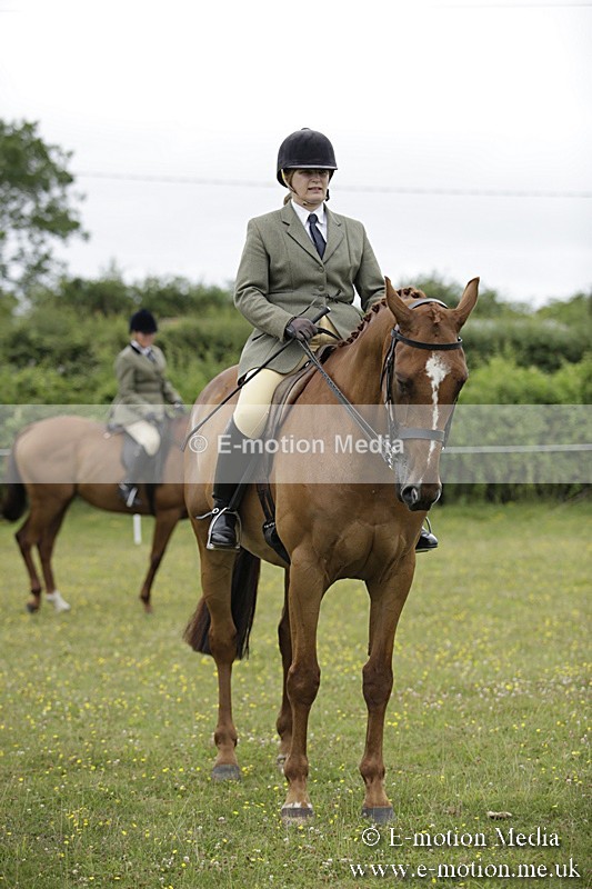 BVR160717-1050 - Ring 1 BVRC Show 16/07/17