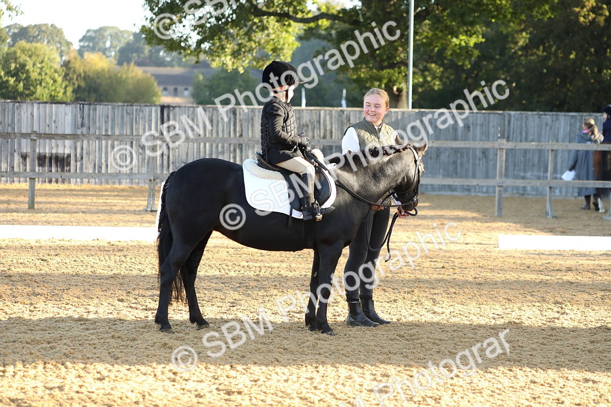SBM_33578 - D26 - Starers - Lead Rein