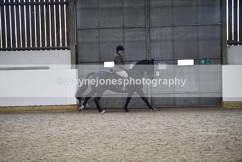WJ5_7833 - Class 13 Ridden Part Breed