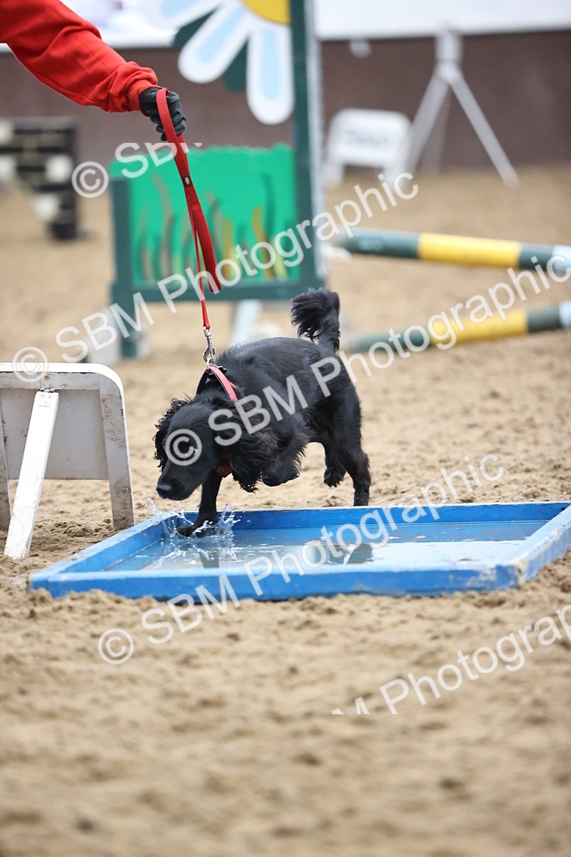 SBM_001456 - Class 3 - Horse & Hound 60cm