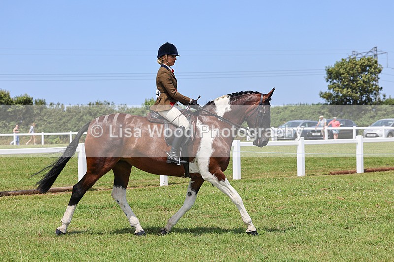 IMG_2814 - Veteran Championship