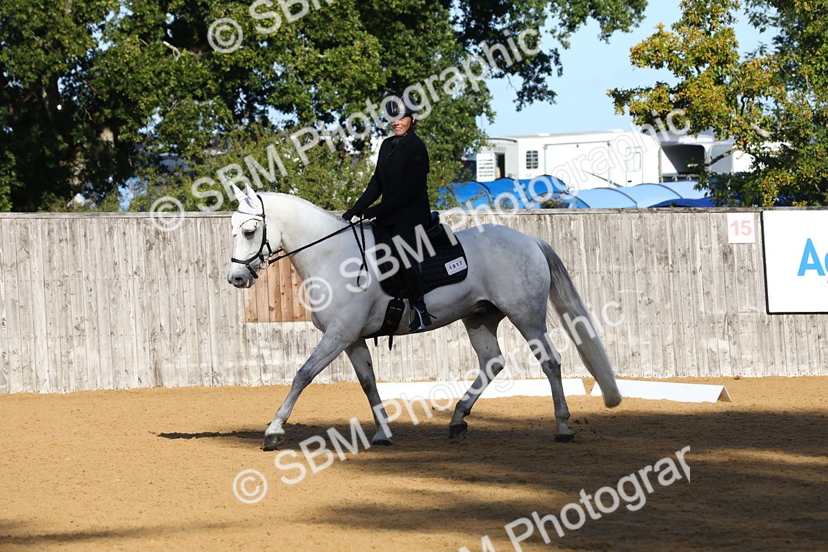 SBM_16351 - D31 - Grand Tour PYO Open .