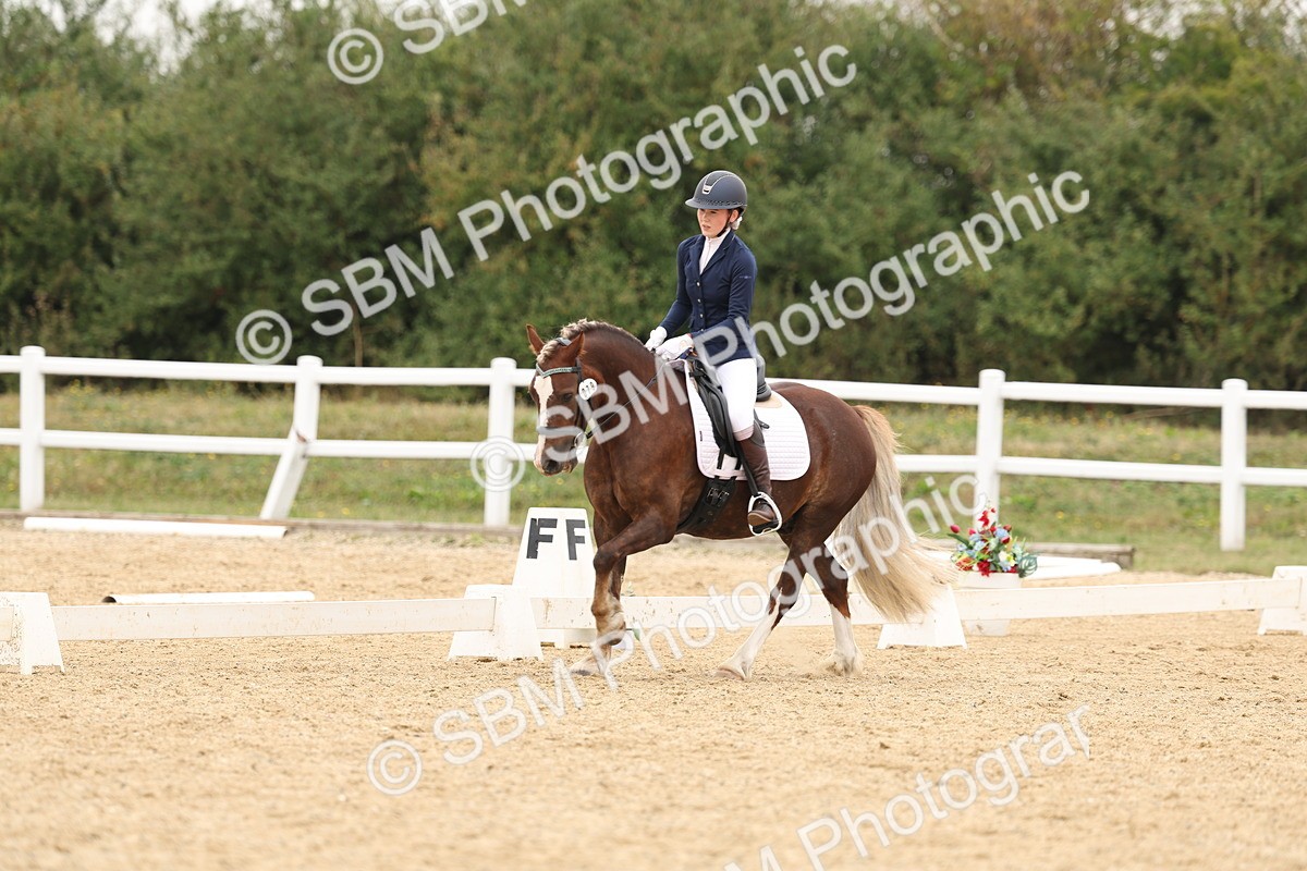 SBM_01056 - Class 8 - Novice 27 Champs