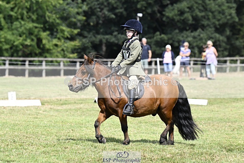 250822A-115518-22437 - DR 11.00 to 12.00