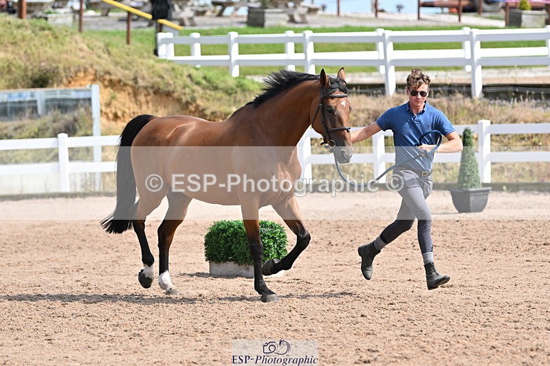 240717A-160026-03255 - Trot Up 4pm to 5pm