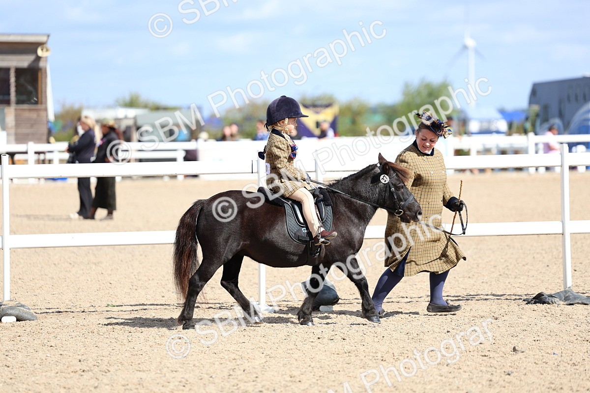 SBM_13044 - Class 309 - Lead Rein Pony