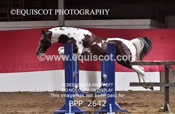 BPP_2642 - LOOSE JUMPING / SPSS