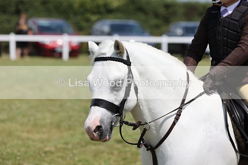JPP_1829 - Class 18: Tiny Tots Working Hunter Pony