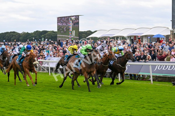 210824-Race 1-Jm Jungle-4516 - Race 1 1.50pm Symphony Group Handicap