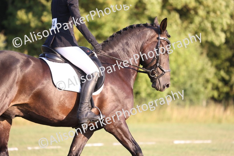 20250731-0438 - Class 3 - Novice 3