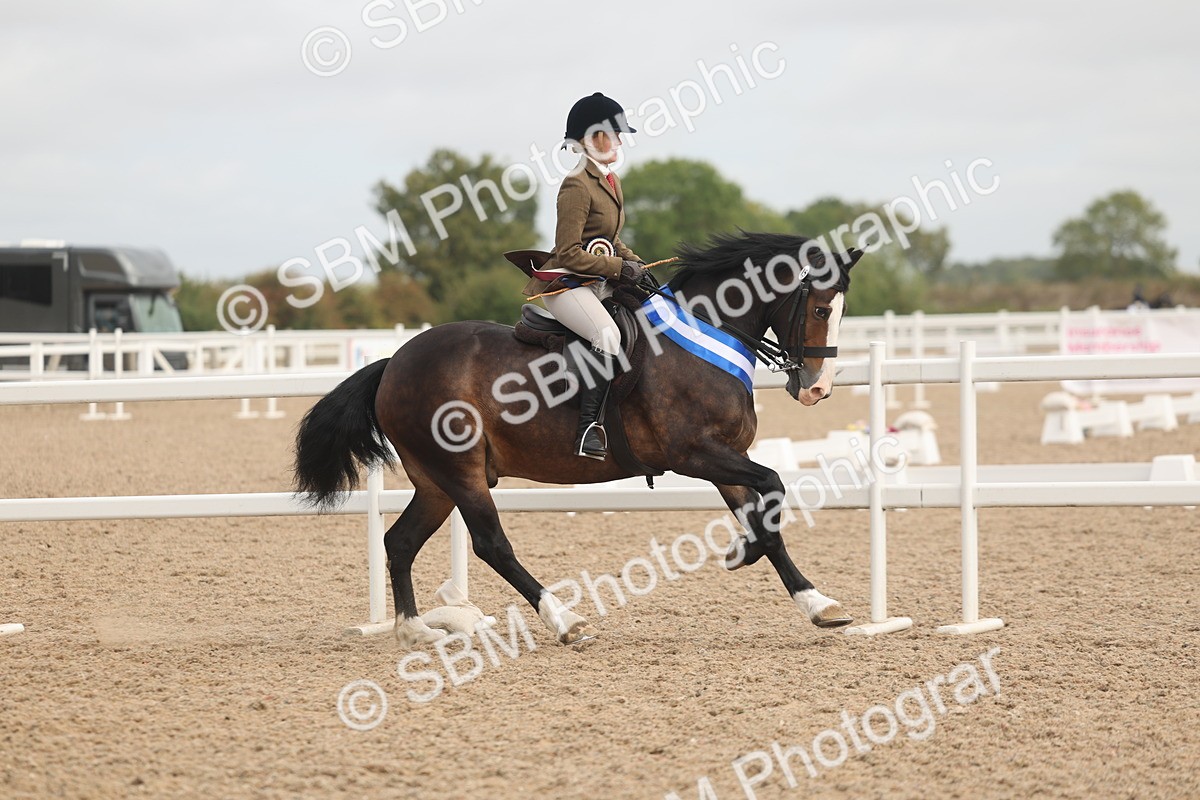 SBM_02035 - Class 14 - Ridden M&M Wildcard