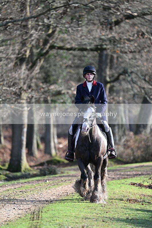 WJ7_7790 - Line 3 (no line 4 or 5)