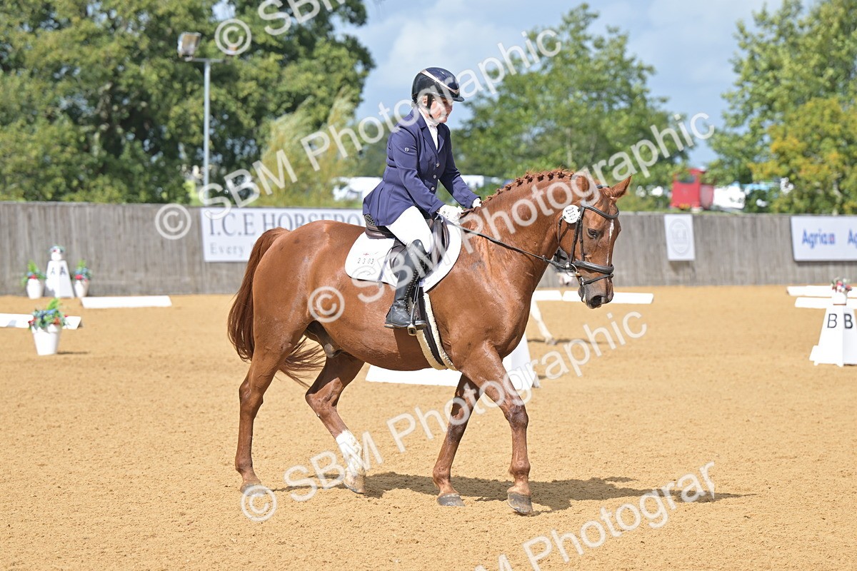 SBM_08213 - D8 - Small Tour Championship Prelim 1