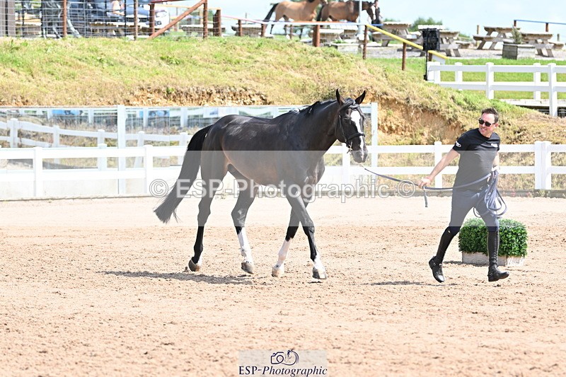 240717A-151419-02667 - Trot Up 3pm to 4pm