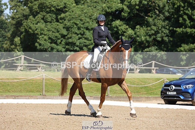 240719-103708-00748 - 223-Deborah_Randall-Sandy's_Bertie