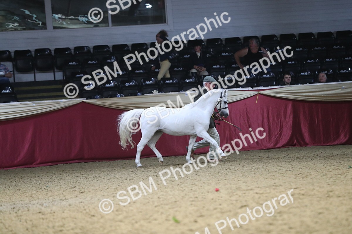 SBM_15186 - Class 501 M&M IH Supreme Final