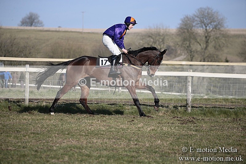 PtP 240218 333 - Vine & Craven Hunt Point-to-Point Barbury racecourse 24/02/18