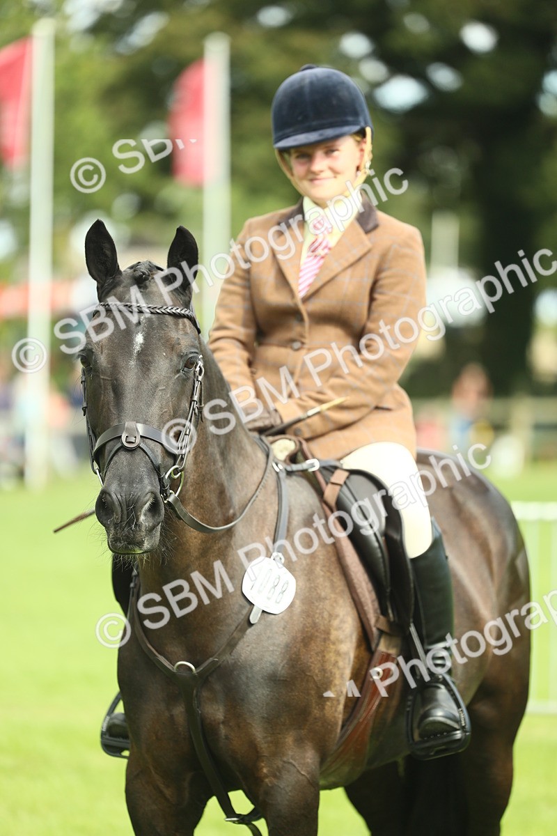 SBM_44801 - S31 - Working Hunter Pony