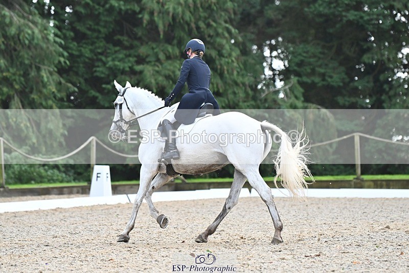 231019-123110-03121 - 114-LATINA'S.TWINKELING-Pippa.Haslam-DR