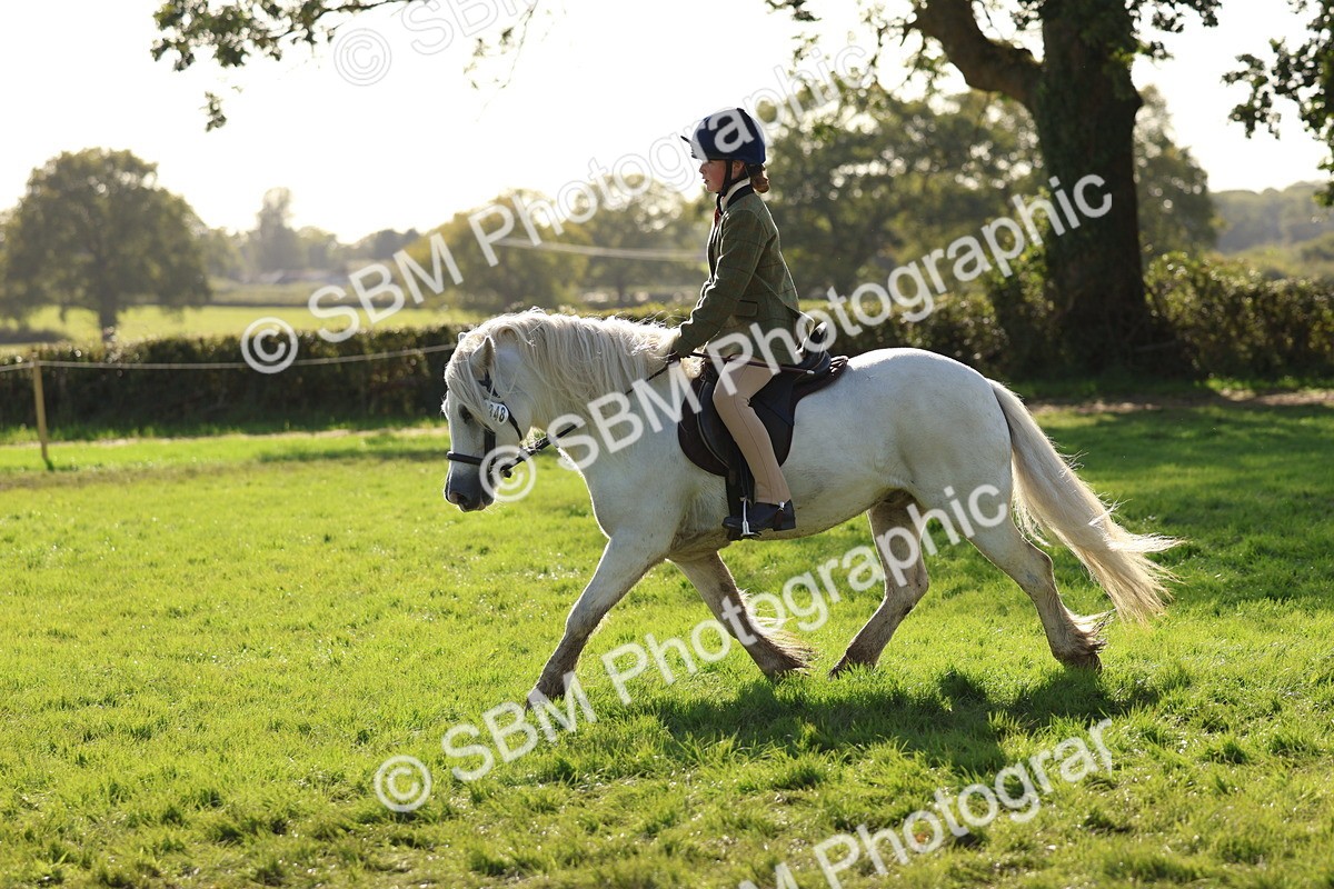 SBM_52444 - S13 - Pony Club Pony