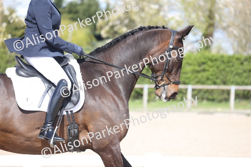 20260405-0563 - Class 7 - Medium 5