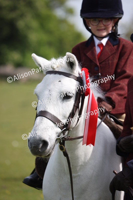 20260426-2611 - Class 31 - Leading Rein