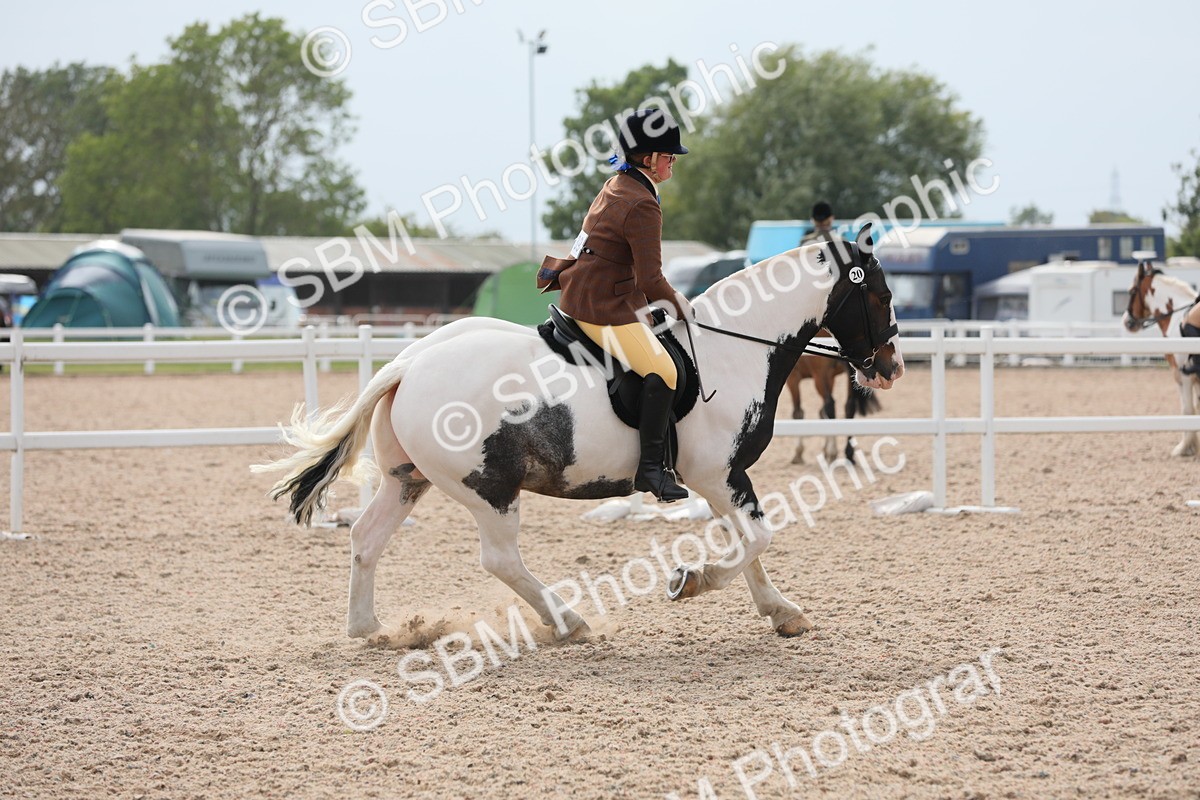 SBM_16975 - Class 314 Family Horse/Pony