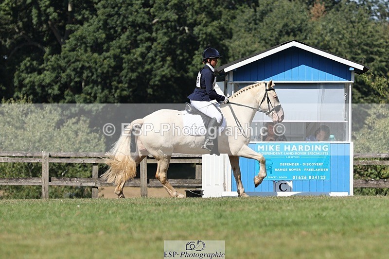 250823A-110631-27866 - Arena D