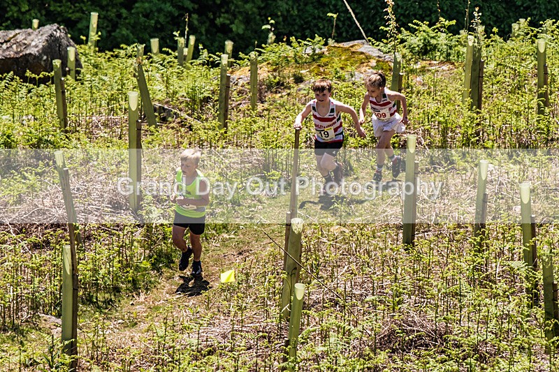 Coniston Junior-5 - Coniston Gullies Junior Fell Races Sunday 24th May 2026