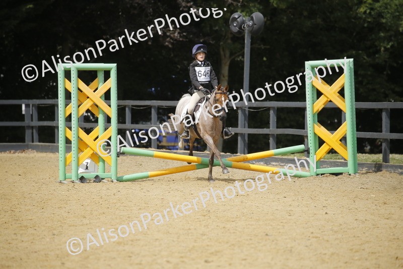 20250622-4134 - 50cm