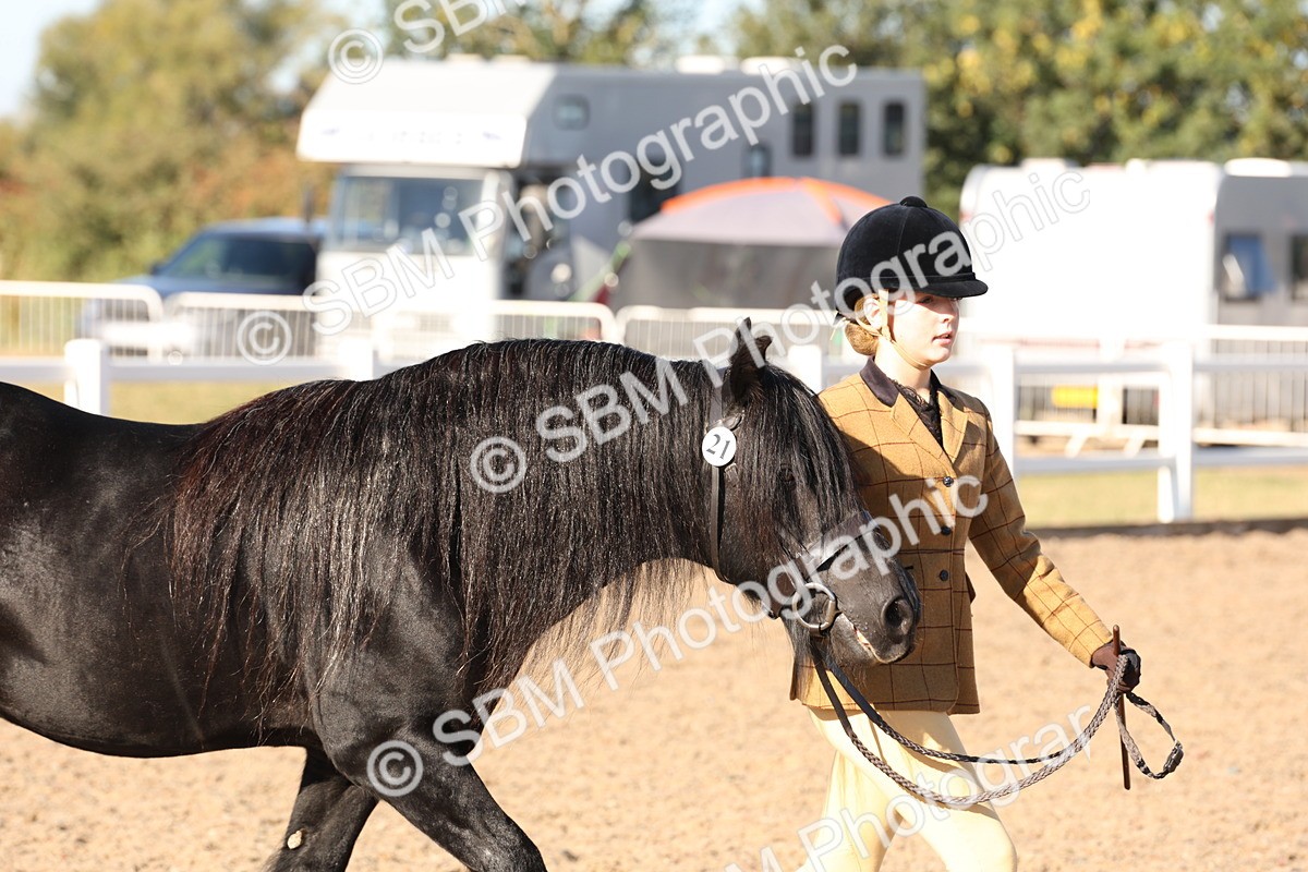 SBM_11711 - Class 204 - Young Handler 11 to 16 years