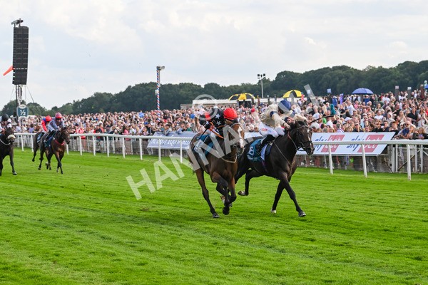 260724-Race 3-Elsies Ruan-4871 - Race 3 6.40pm Ire-Incentive, It Pays To Buy Irish EBF Restricted Novice Stakes