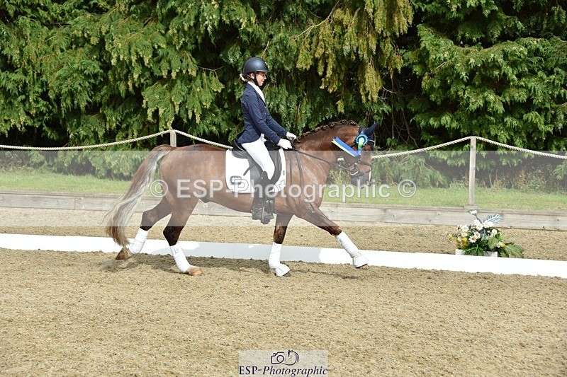 230812-160902-05421 - Novice Bronze Presentations