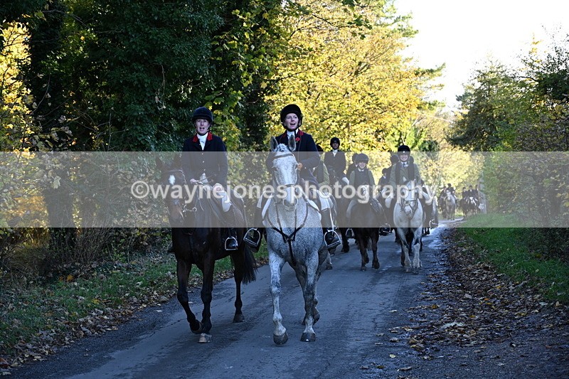 WJ6_9678 - Walk Home