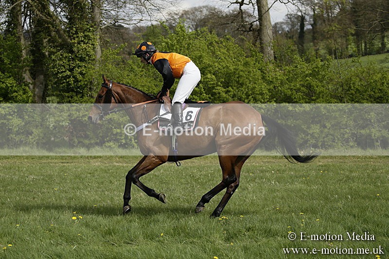 PtP 170417 260 - Old Berks Point-to-Point Lockinge 17/04/17