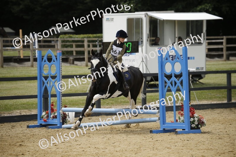 20250622-4751 - 50cm