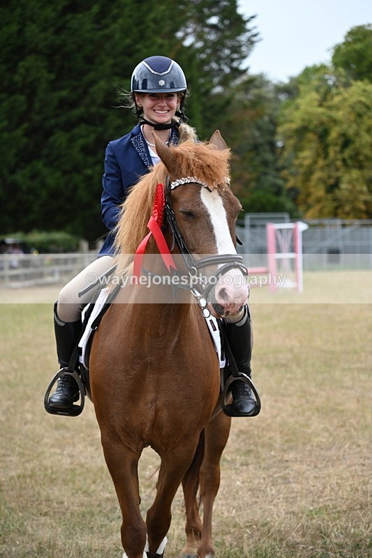 WJ6_0460 - Class 13 Novice Jumping 60cm