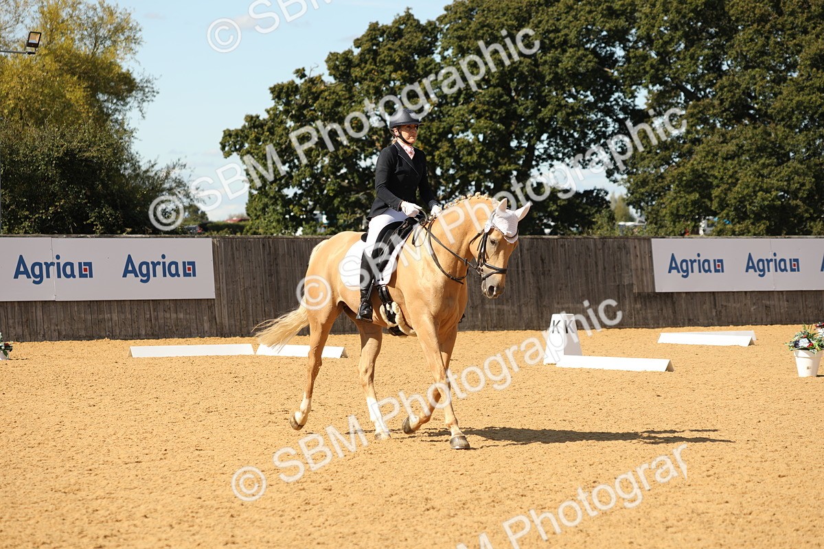 SBM_22334 - D17 - Grand Tour Championship - Novice 27